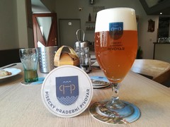 Pivo