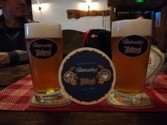 Pivo