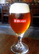 Pivo