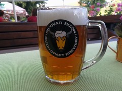 Pivo