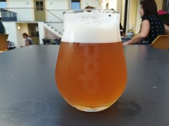 Pivo