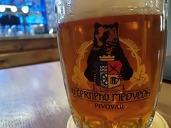 Pivo