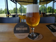 Pivo