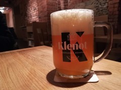 Pivo