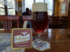 Pivo