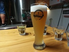 Pivo