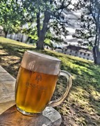 Klikni pro zvětšení Pivo