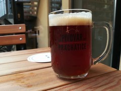Klikni pro zvětšení Pivo