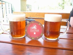 Klikni pro zvětšení Pivo