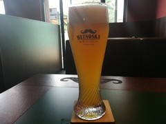 Pivo