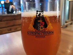 Pivo