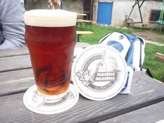 Pivo