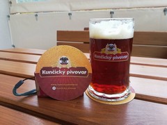 Pivo