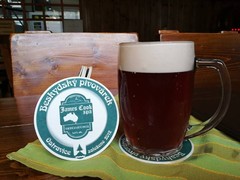 Pivo