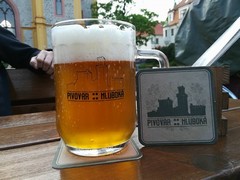 Pivo