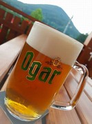 Pivo