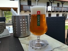Pivo