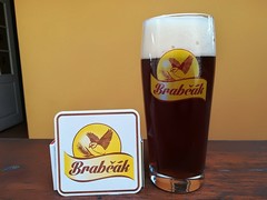 Pivo