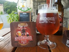 Pivo