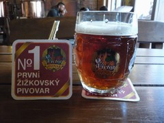 Pivo