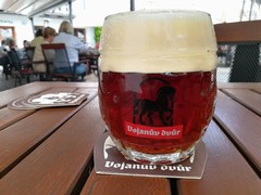 Pivo