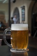 Pivo