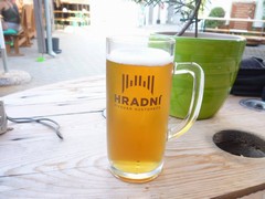 Pivo