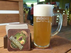 Pivo