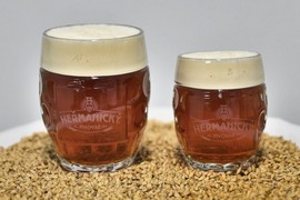 Pivo