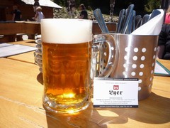 Pivo