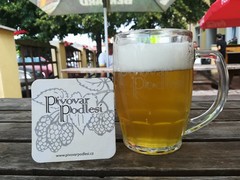 Pivo
