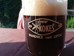 Pivo