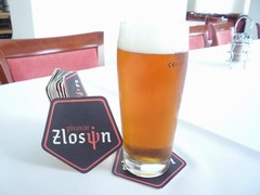 Pivo