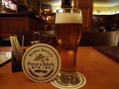 Pivo