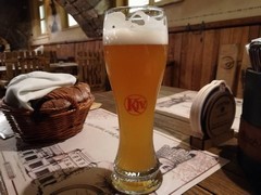 Pivo