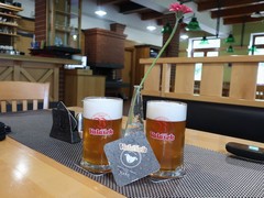 Pivo