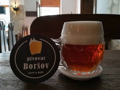 Pivo