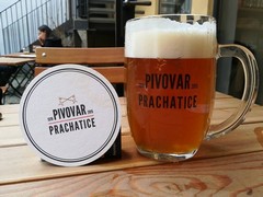 Pivo