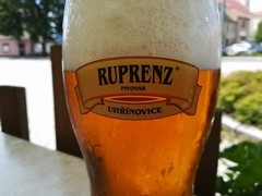 Pivo