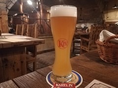 Pivo