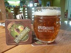 Pivo