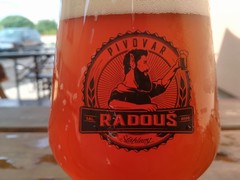 Pivo