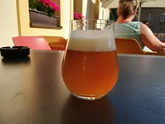Pivo