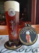 Pivo