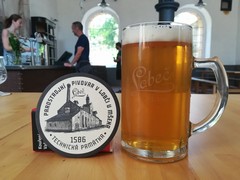 Pivo