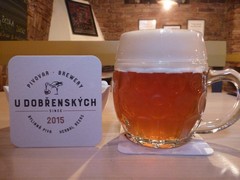 Pivo