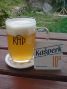 Pivo