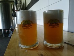 Pivo