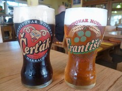 Pivo