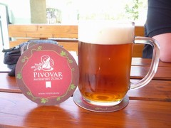 Pivo